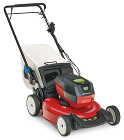 Toro-21357.jpg