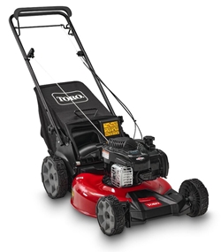 toro21321.jpg